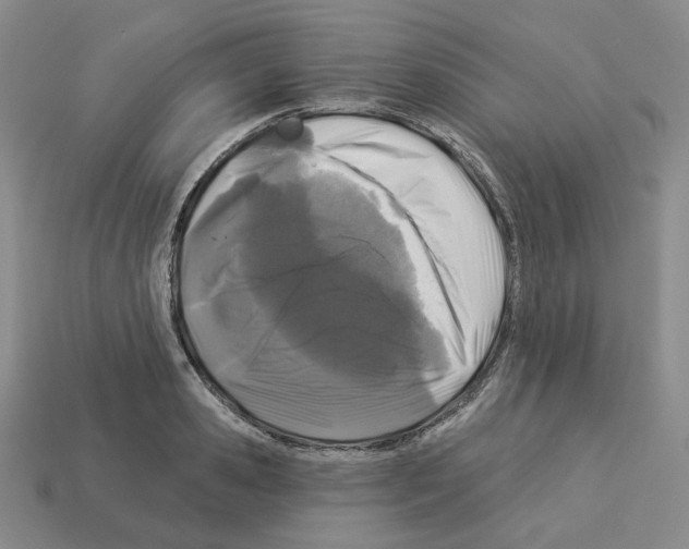 X0000112890941200910021411