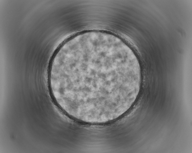 X0000112890942200910021411