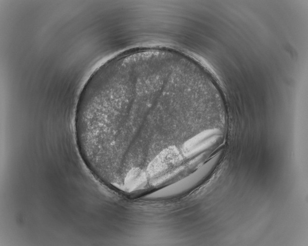 X0000112890943200910021411