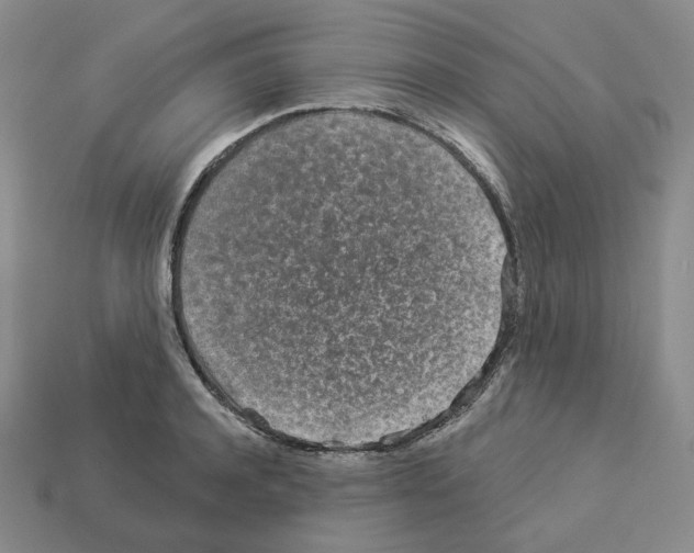 X0000112890944200910021411