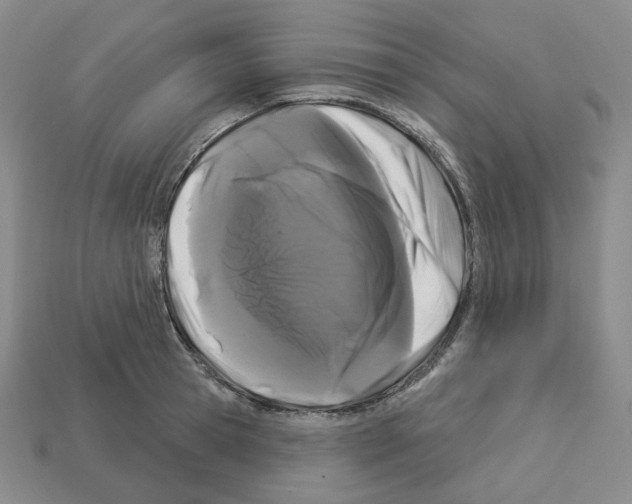 X0000112890945200910021411