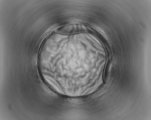 X0000112890946200910021411