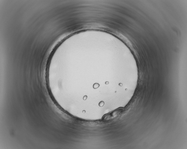 X0000112890947200910021411
