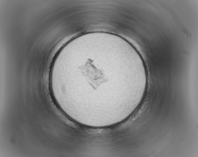 X0000112890949200910021411
