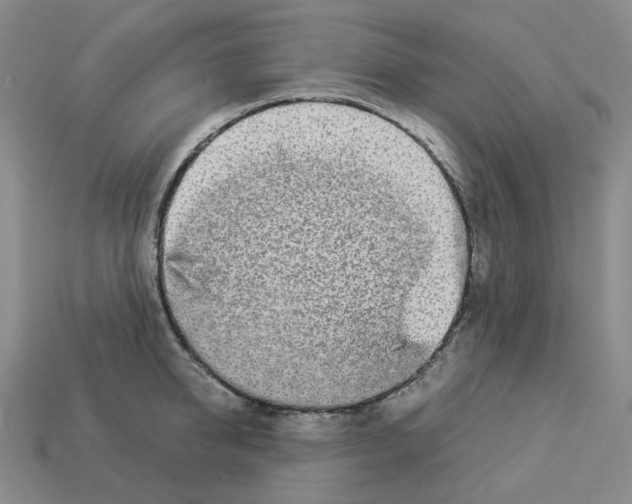 X0000112890950200910021411