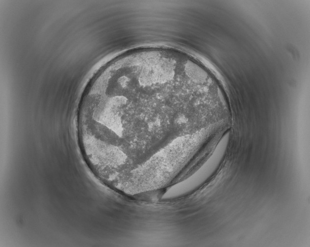 X0000112890951200910021411