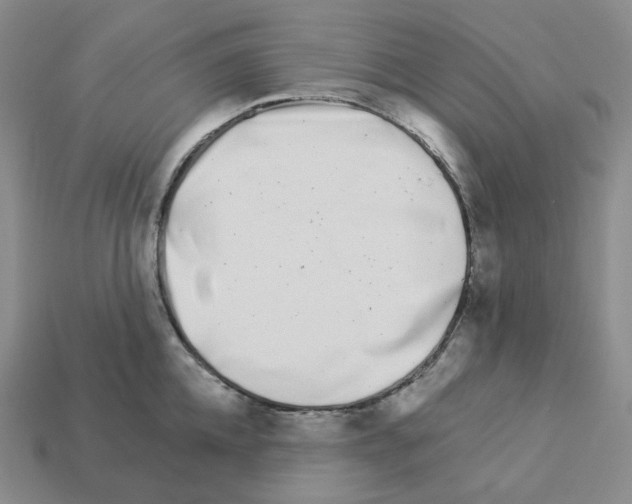 X0000112890952200910021411