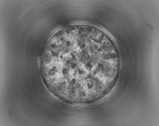 X0000112890953200910021411
