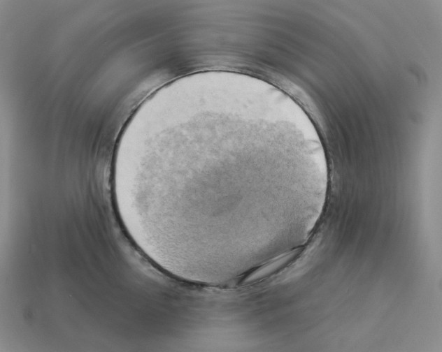 X0000112890954200910021411