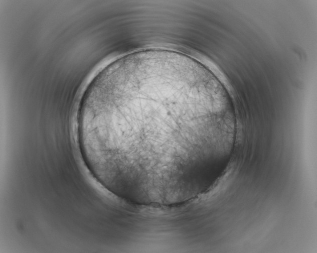 X0000112890955200910021411