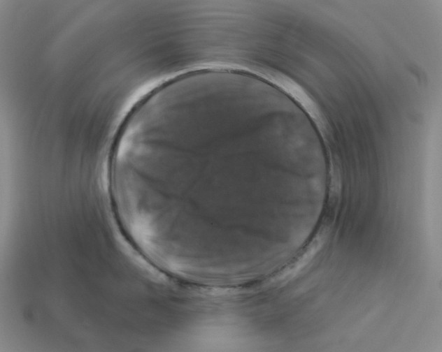 X0000112890958200910021412