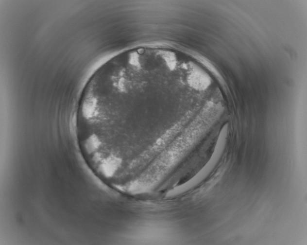 X0000112890959200910021412