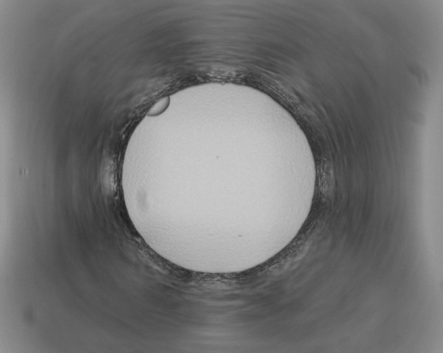 X0000112890962200910021411