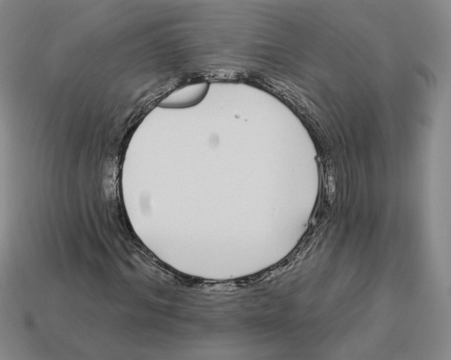 X0000112890964200910021411