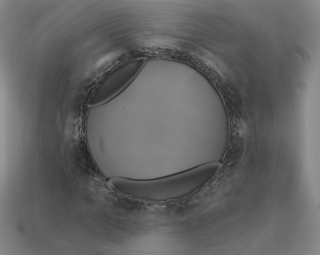 X0000112890965200910021411