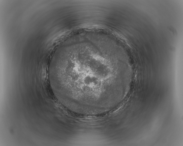 X0000112890966200910021411