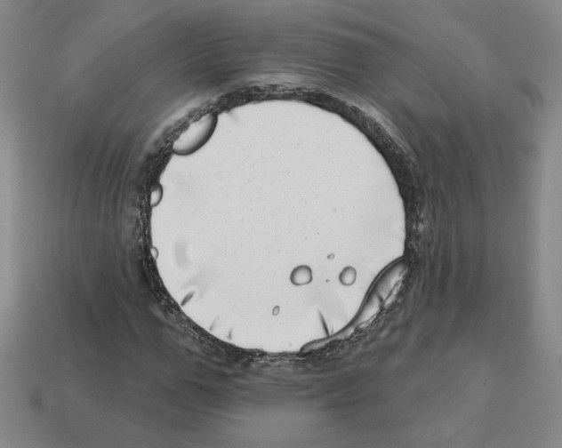 X0000112890967200910021411
