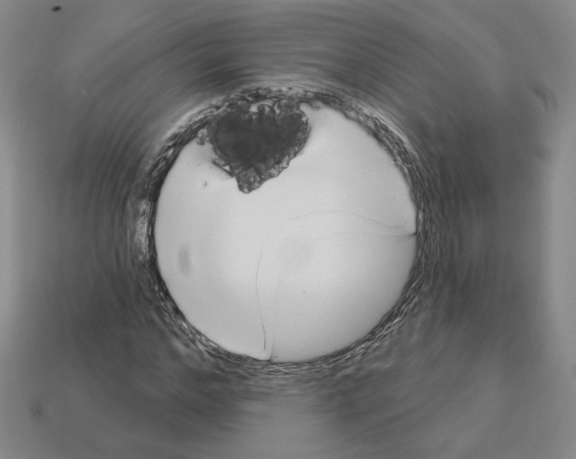 X0000112890968200910021411