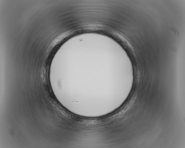 X0000112890970200910021411