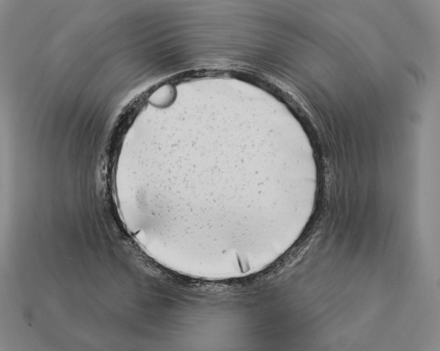 X0000112890971200910021411