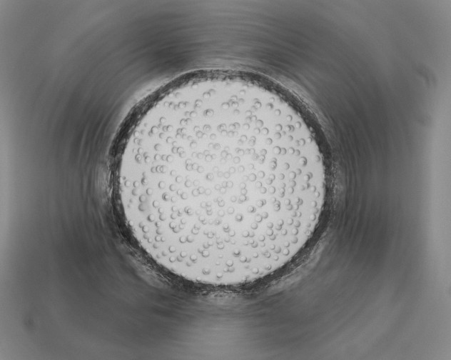 X0000112890974200910021411