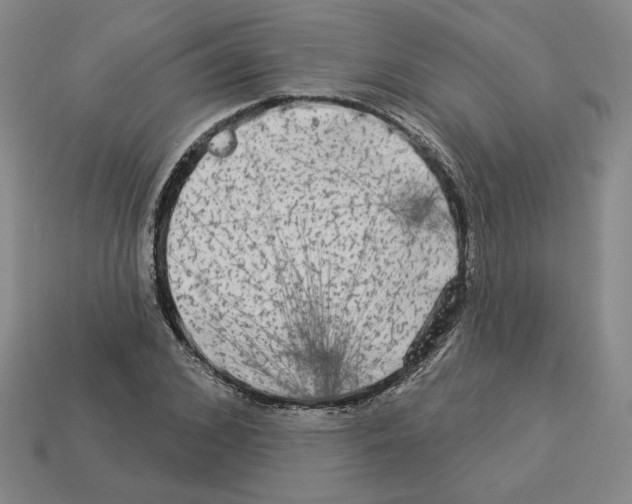X0000112890976200910021411
