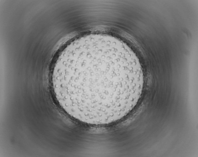 X0000112890978200910021411