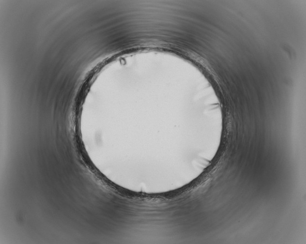 X0000112890979200910021411