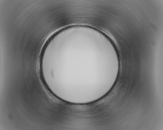X0000112890980200910021411