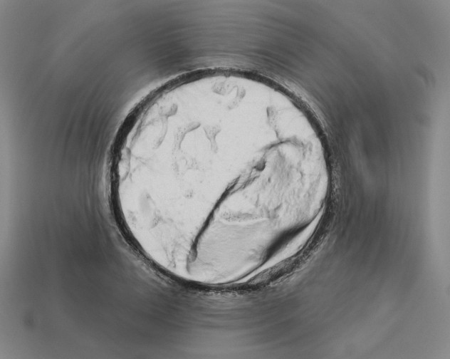 X0000112890983200910021411