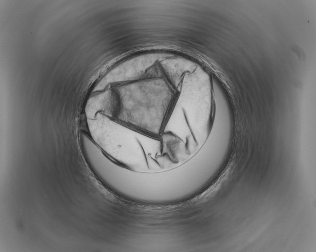 X0000112890985200910021411