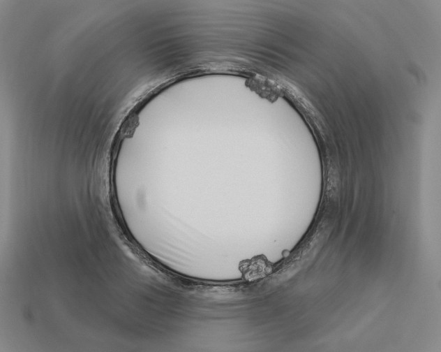 X0000112890986200910021411