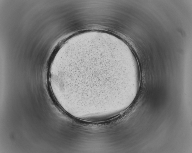 X0000112890987200910021411