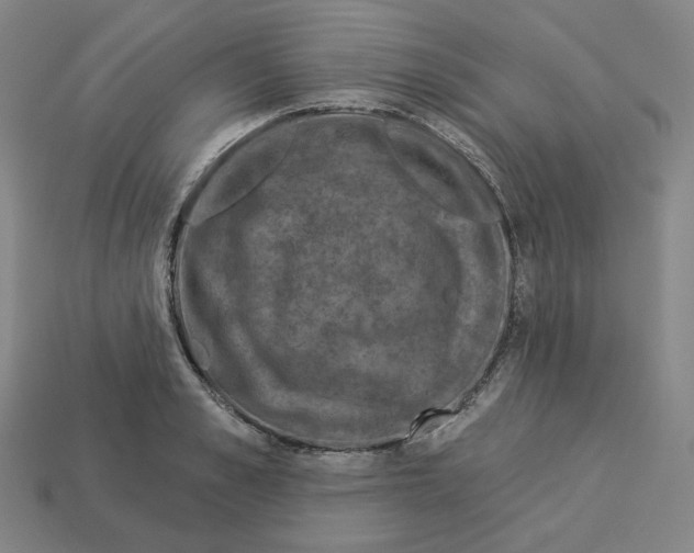 X0000112890989200910021411