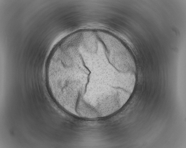 X0000112890990200910021411