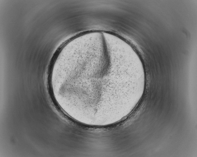 X0000112890991200910021411