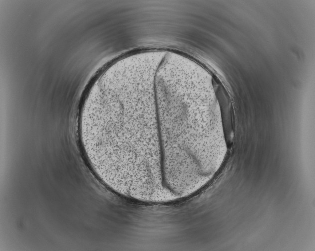 X0000112890992200910021411