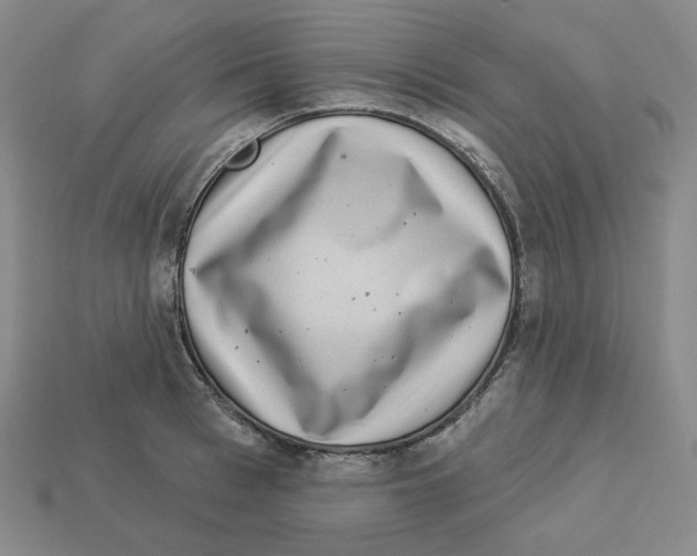 X0000112890993200910021411