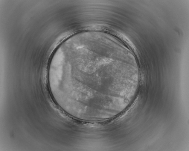 X0000112890994200910021411