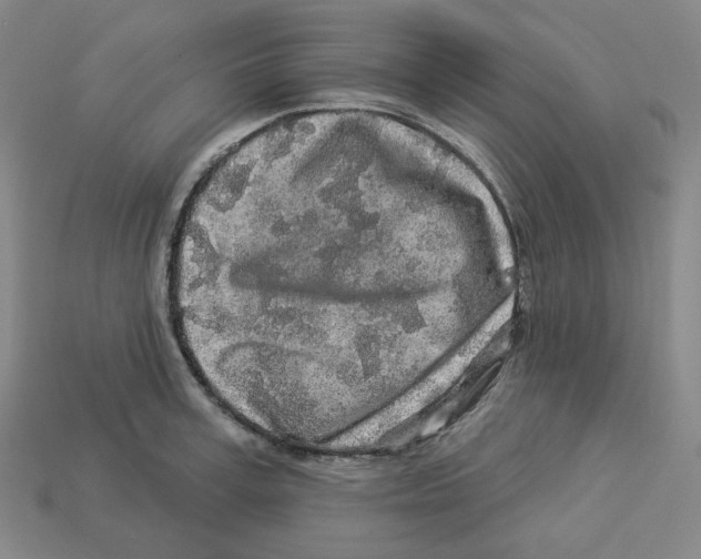 X0000112890995200910021411