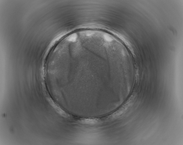 X0000112890998200910021410