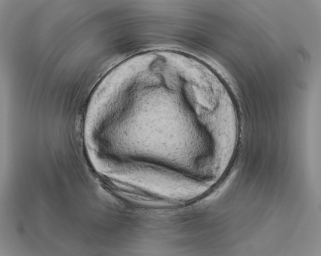 X0000112891001200910021410
