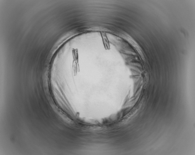 X0000112891002200910021410