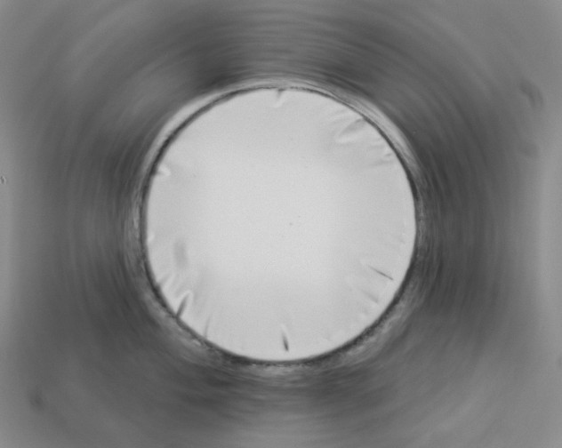 X0000112891004200910021410