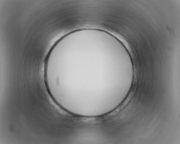 X0000112891006200910021410