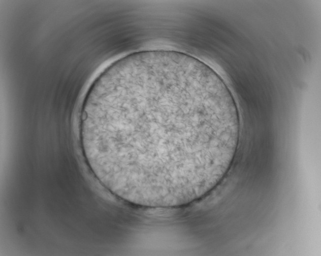 X0000112891008200910021410