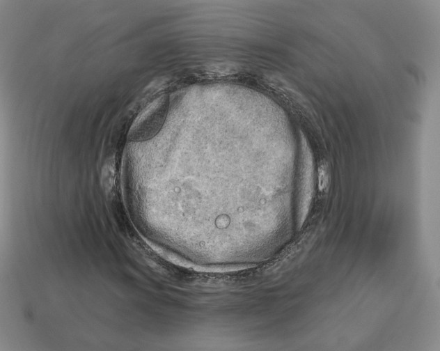 X0000112891011200910021410