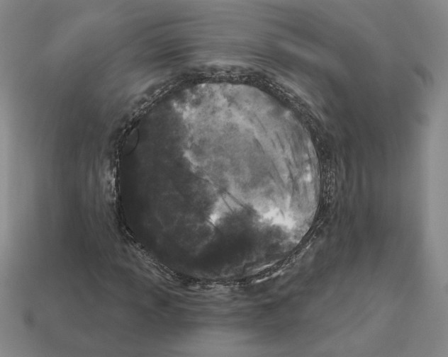 X0000112891013200910021410