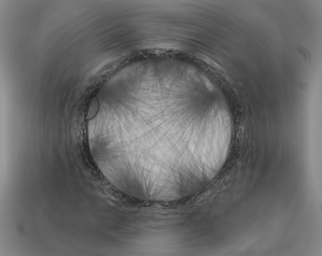 X0000112891014200910021410