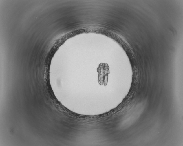 X0000112891016200910021410